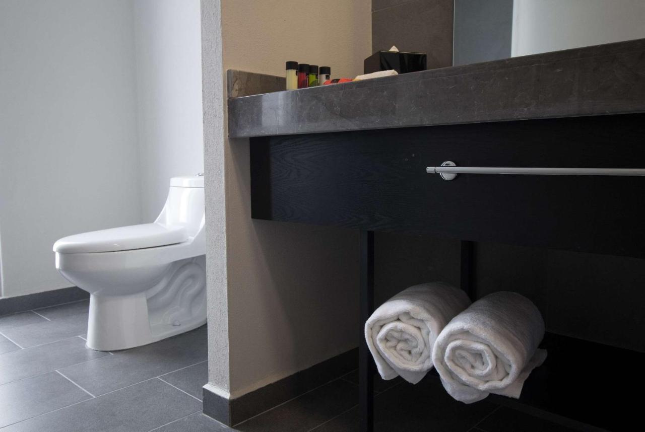 Tryp By Wyndham San Luis Potosi Hotel & Suites Eksteriør bilde